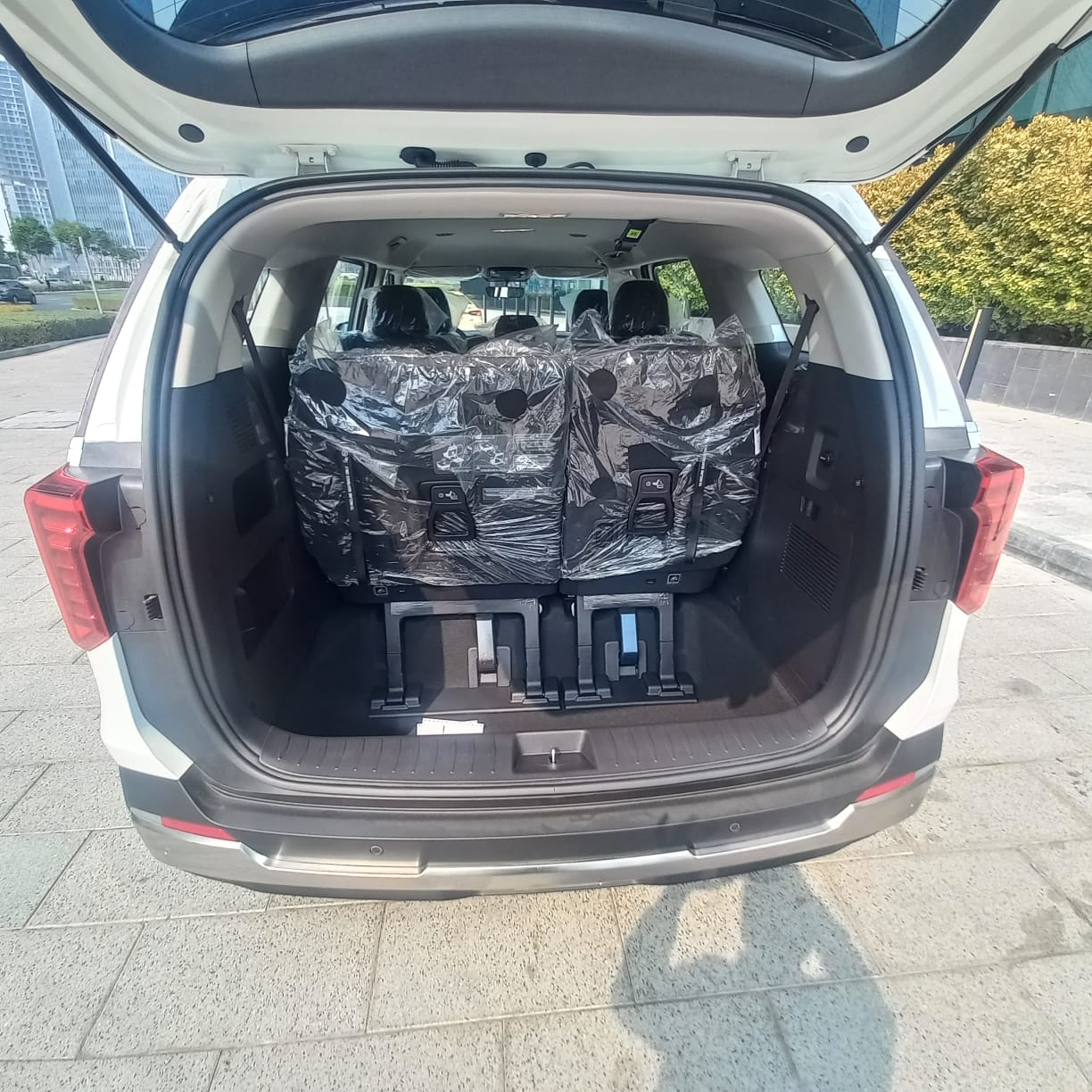 Kia Carnival 2026 photo 4